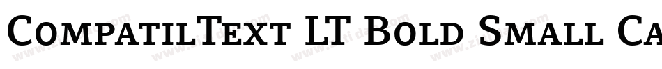 CompatilText LT Bold Small Caps字体转换